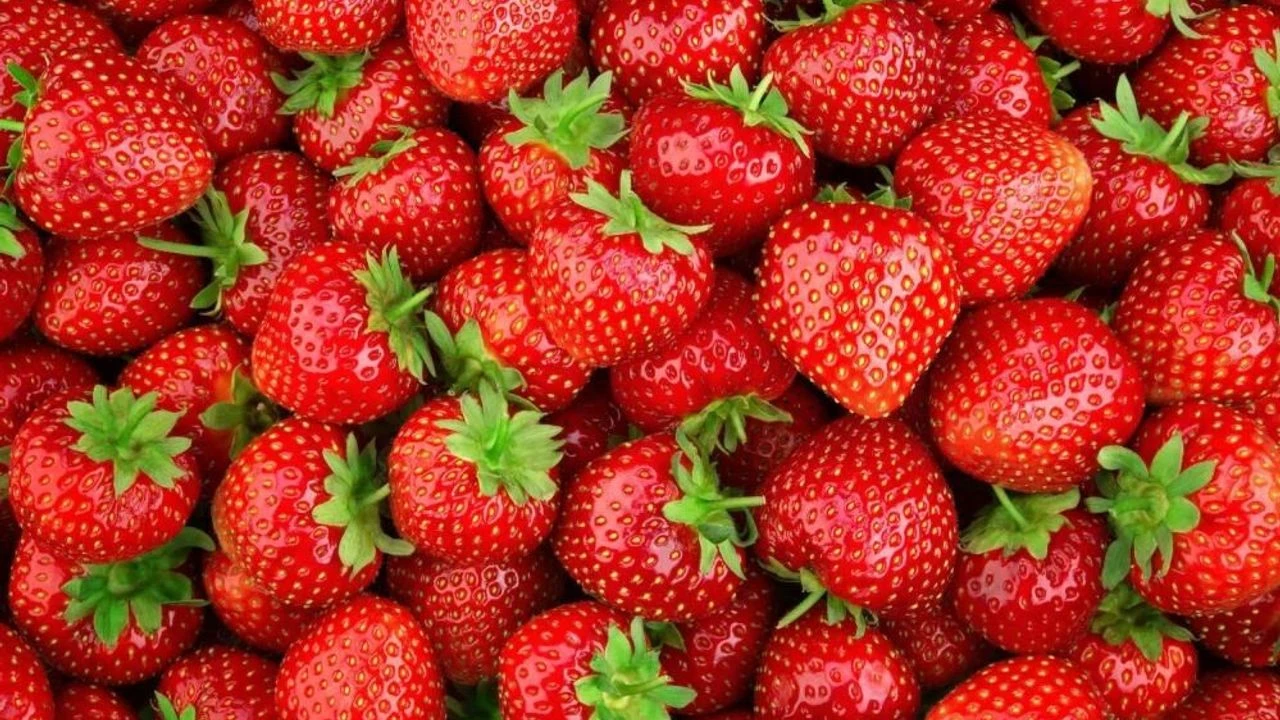 Çilek Ihracatında Değer Patlaması Tonaj Azaldı, Kazanç Yüzde 56 Arttı!N