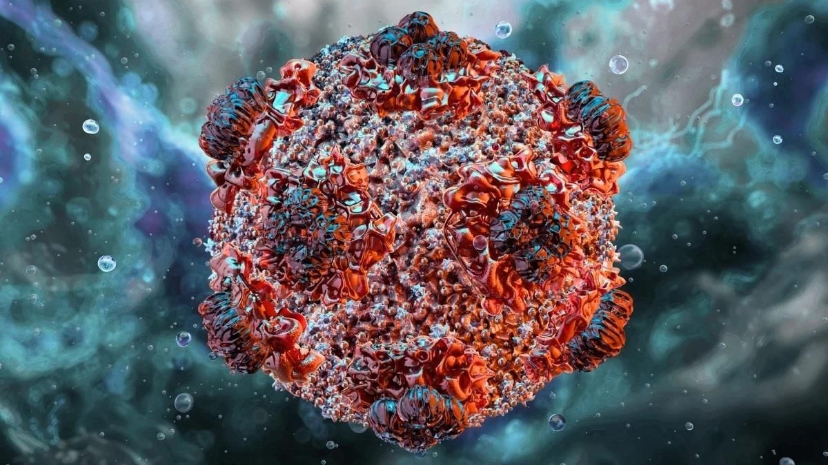 Hantavirus Nedir Nasil Bulasir205395