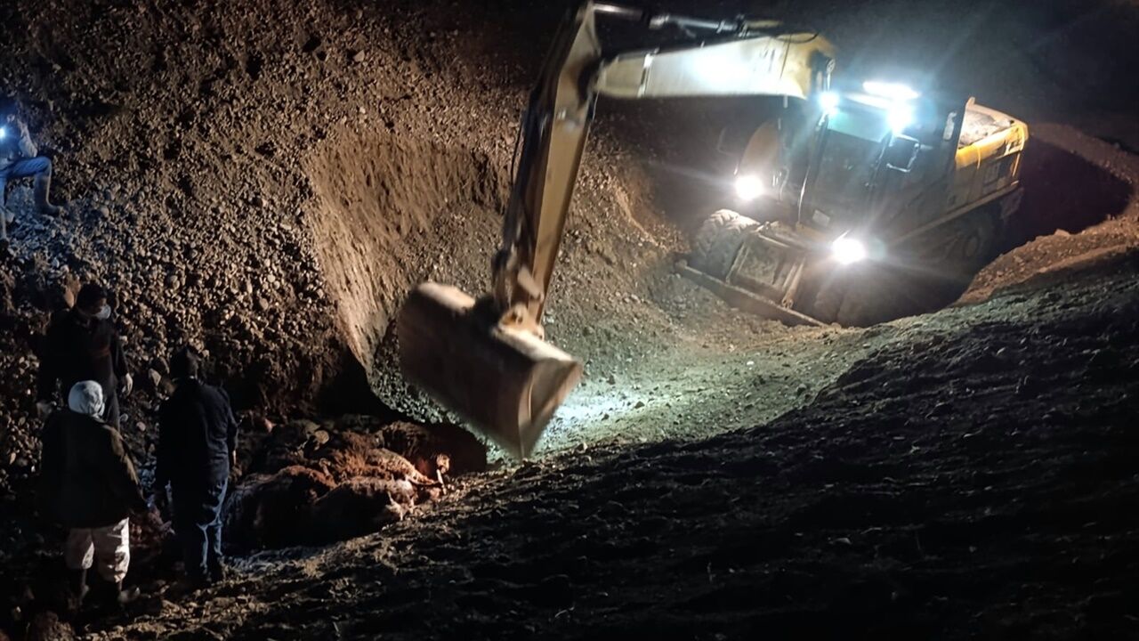 Iğdır'da Arı Dehşeti 816 Koyun Telef Oldu (2)
