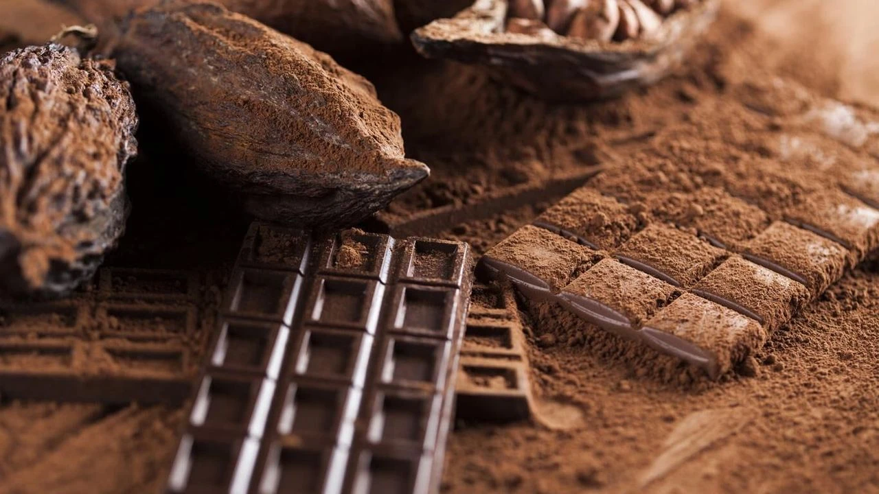 Kakao Fiyatları Şirketi Yıktı Yarım Asırlık Çikolata Devi Iflas Bayrağını Çekti!N