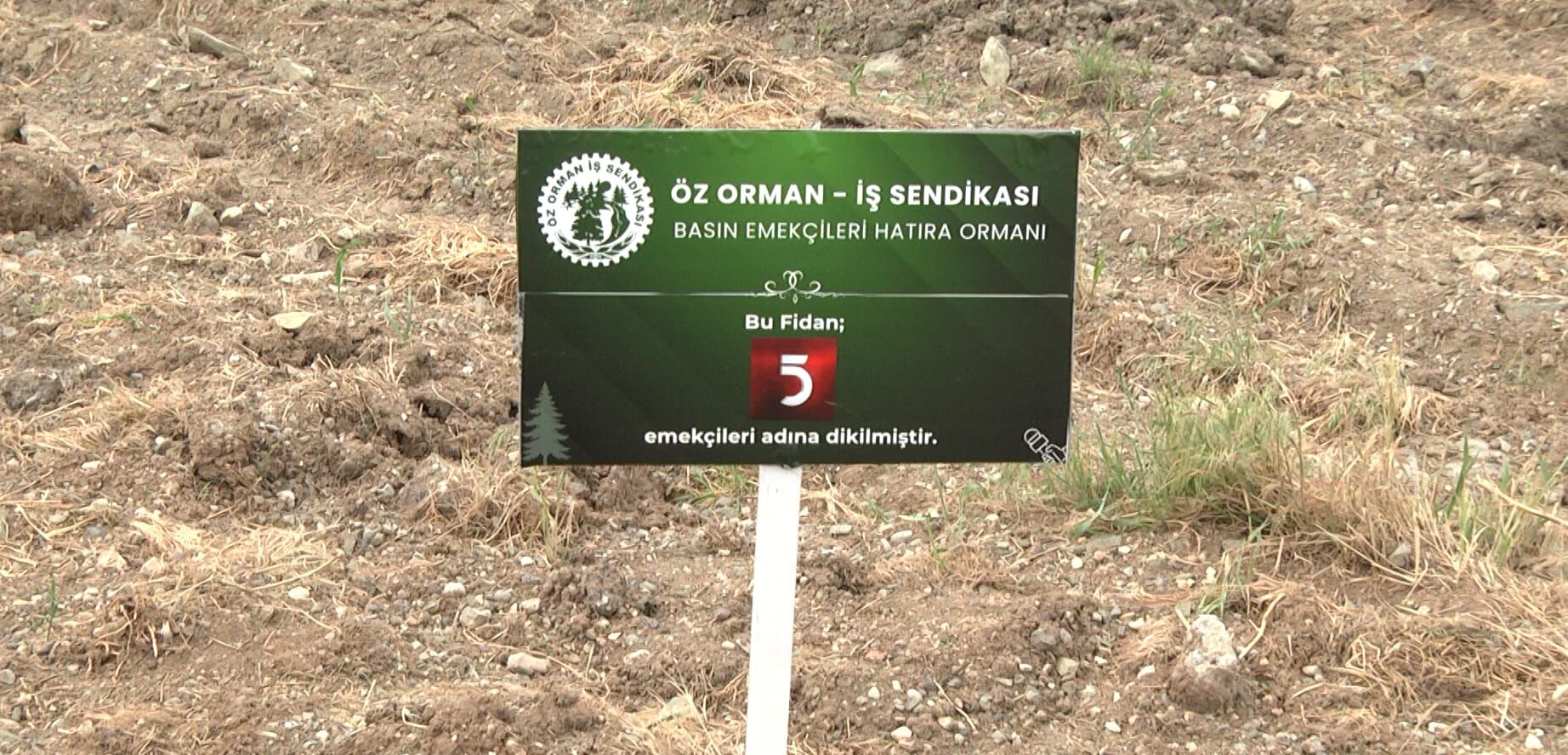 Öz Orman İş’ten Medya Emekçilerine Anlamlı Etkinlik Basın Emekçileri Adına Fidanlar Toprakla Buluştu (2)