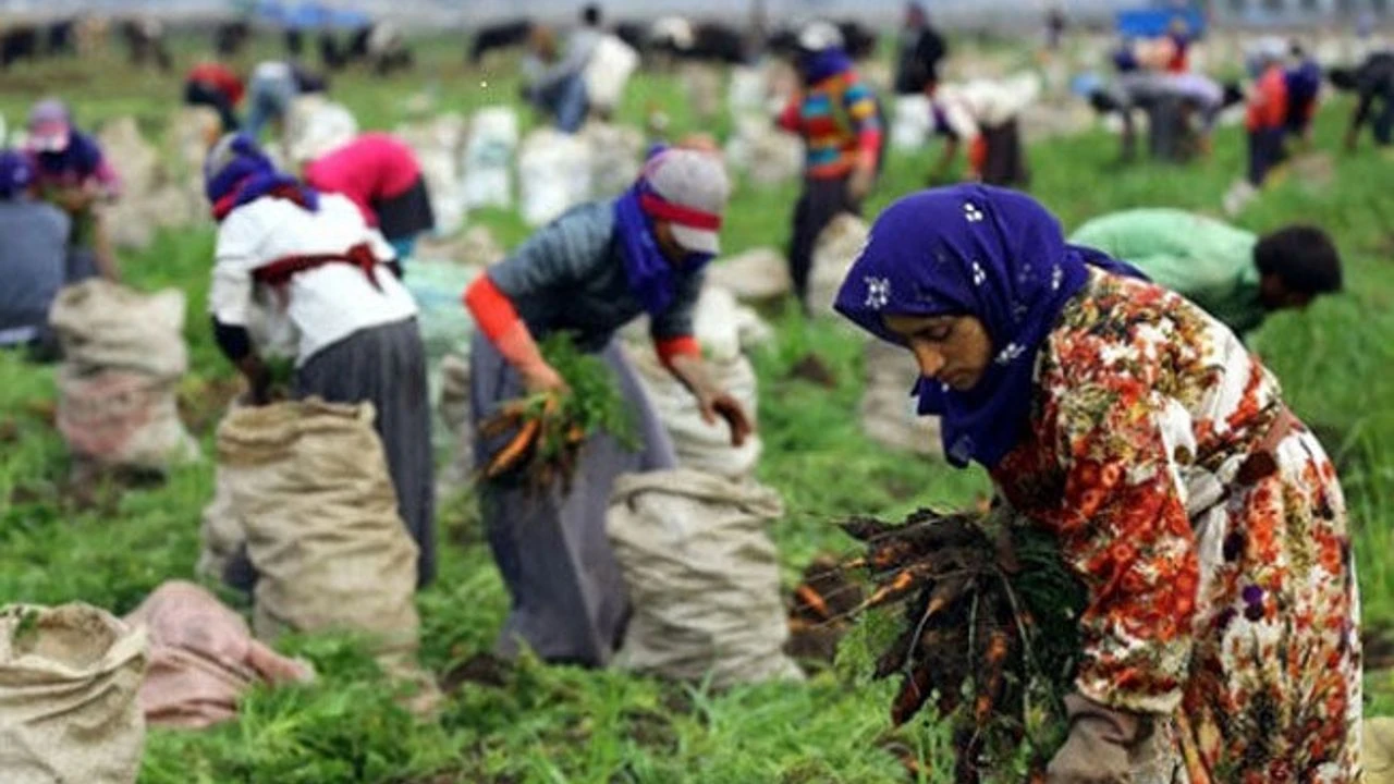 Tarim Iscisi Kadinlar Anlatiyor Molada Ikinci Cayi Bile Icirtmiyorlar H86126 9133A