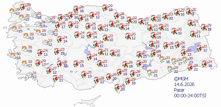 11 Bojm