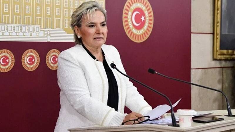 CHP'nin TBMM'deki sandalyesi 137'ye düştü: Nimet Özdemir istifa etti