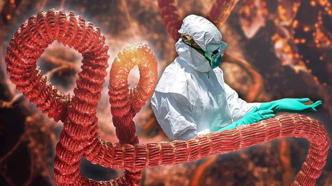 Afrika'da Ebola Alarmı! Aşısı Ve Tedavisi Yok O Ülke Teyakküza Geçti!Y