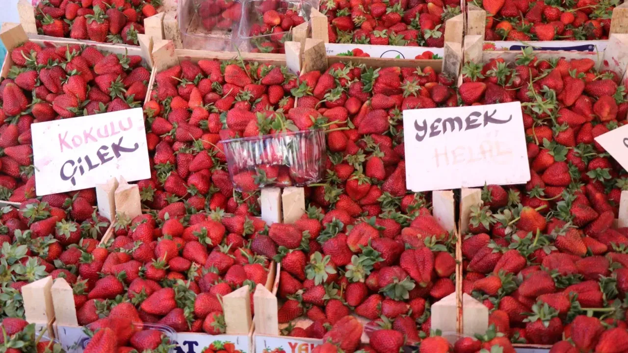 Bolu’da Yaz Bereketi Tezgâhlara Yansıdı Pazar Filesi Doluyor!Q