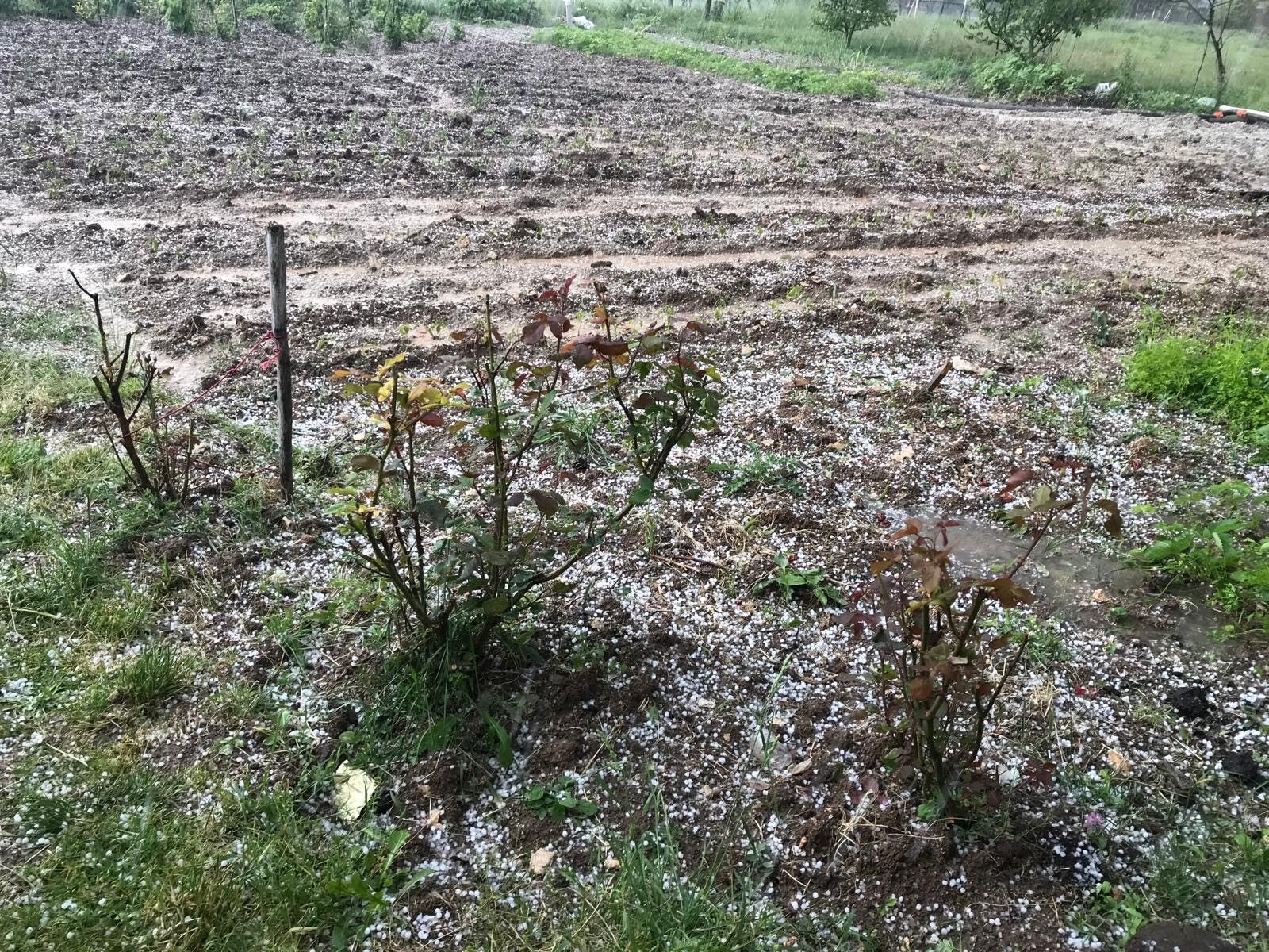 Bursa Keles’te Afet Dolu Yağışı Çiftçinin Alın Terini Vurdu!