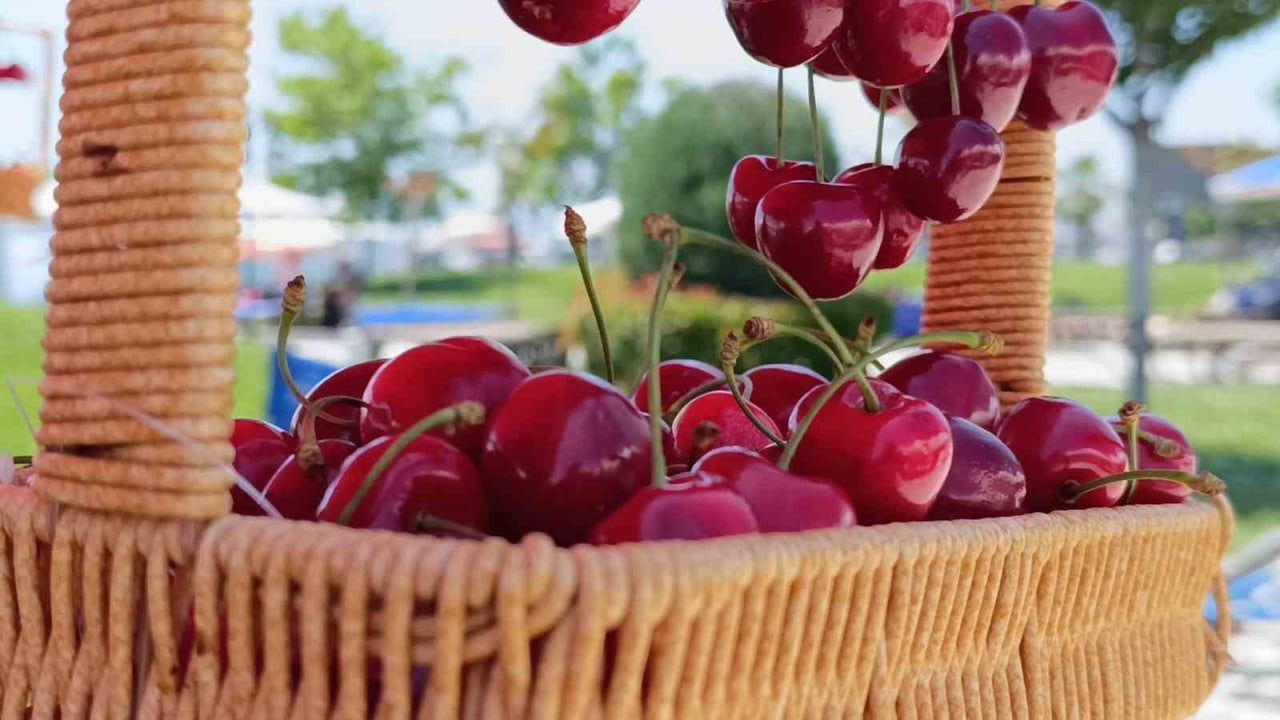 Cep Yakan Kirazda Beklenen Düşüş Fiyatlar Yarı Yarıya Indi!S
