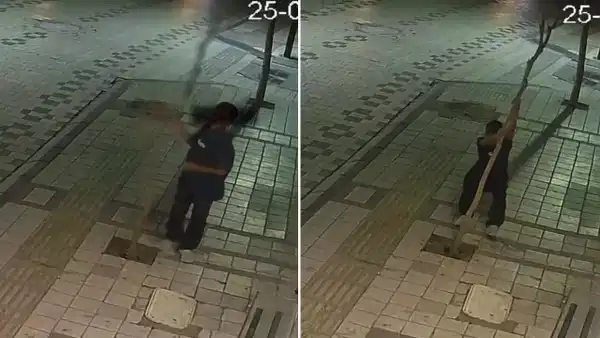 Hakkında soruşturma başlatıldı: Kaldırımdaki ağacı kıran çocuğun başı derde girdi!