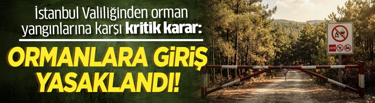 İstanbul Valiliğinden orman yangınlarına karşı kritik karar: Ormanlara giriş yasaklandı!