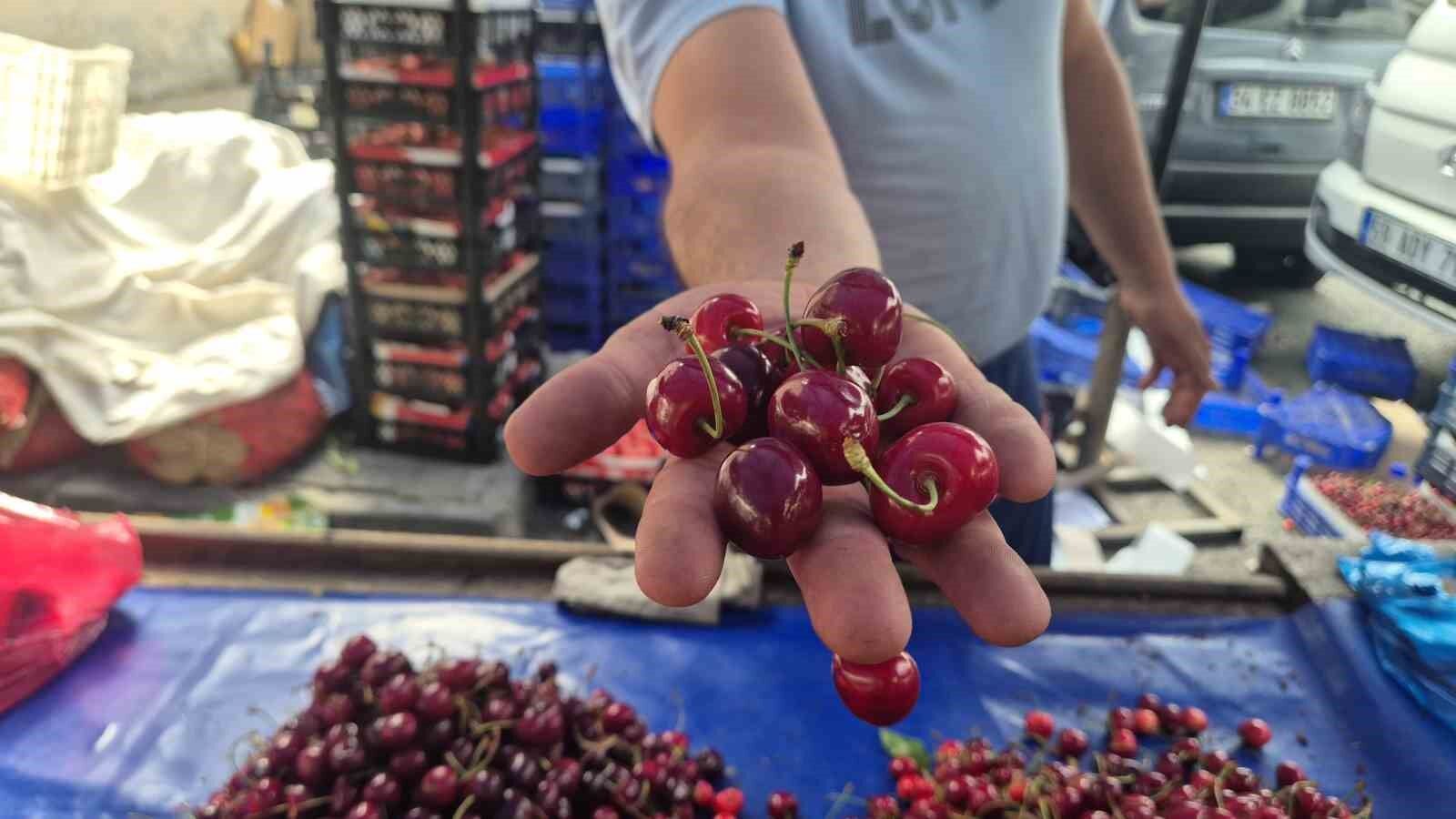 Kirazda Yüzler Gülüyor Fiyatlar 70 Liraya Kadar Geriledi!V