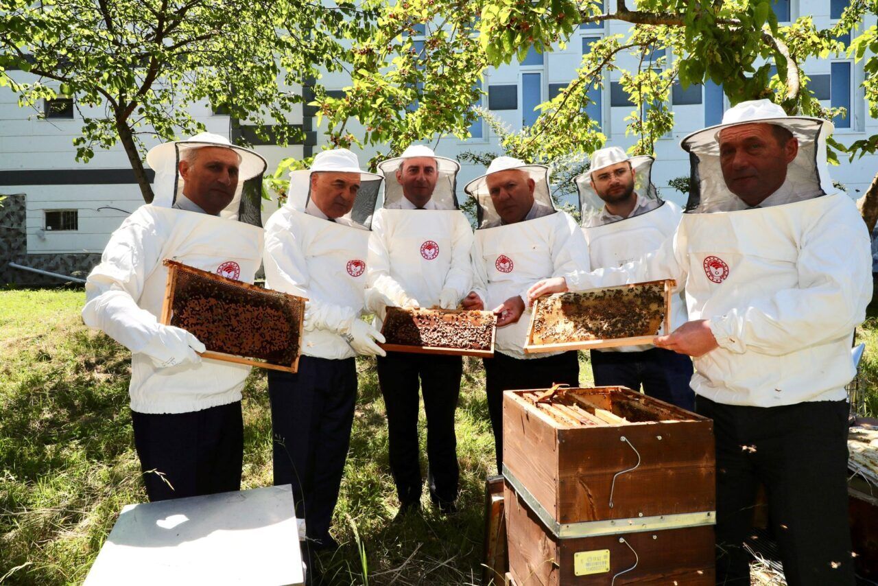 Ordu Balı Dünya Arenasında İngiltere’ye 17 Tonluk Dev Sevkiyat!H
