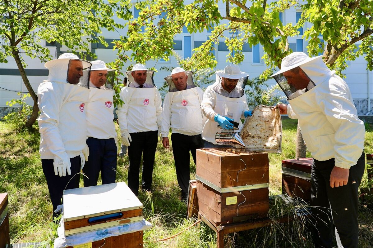 Ordu Balı Dünya Arenasında İngiltere’ye 17 Tonluk Dev Sevkiyat!S (2)