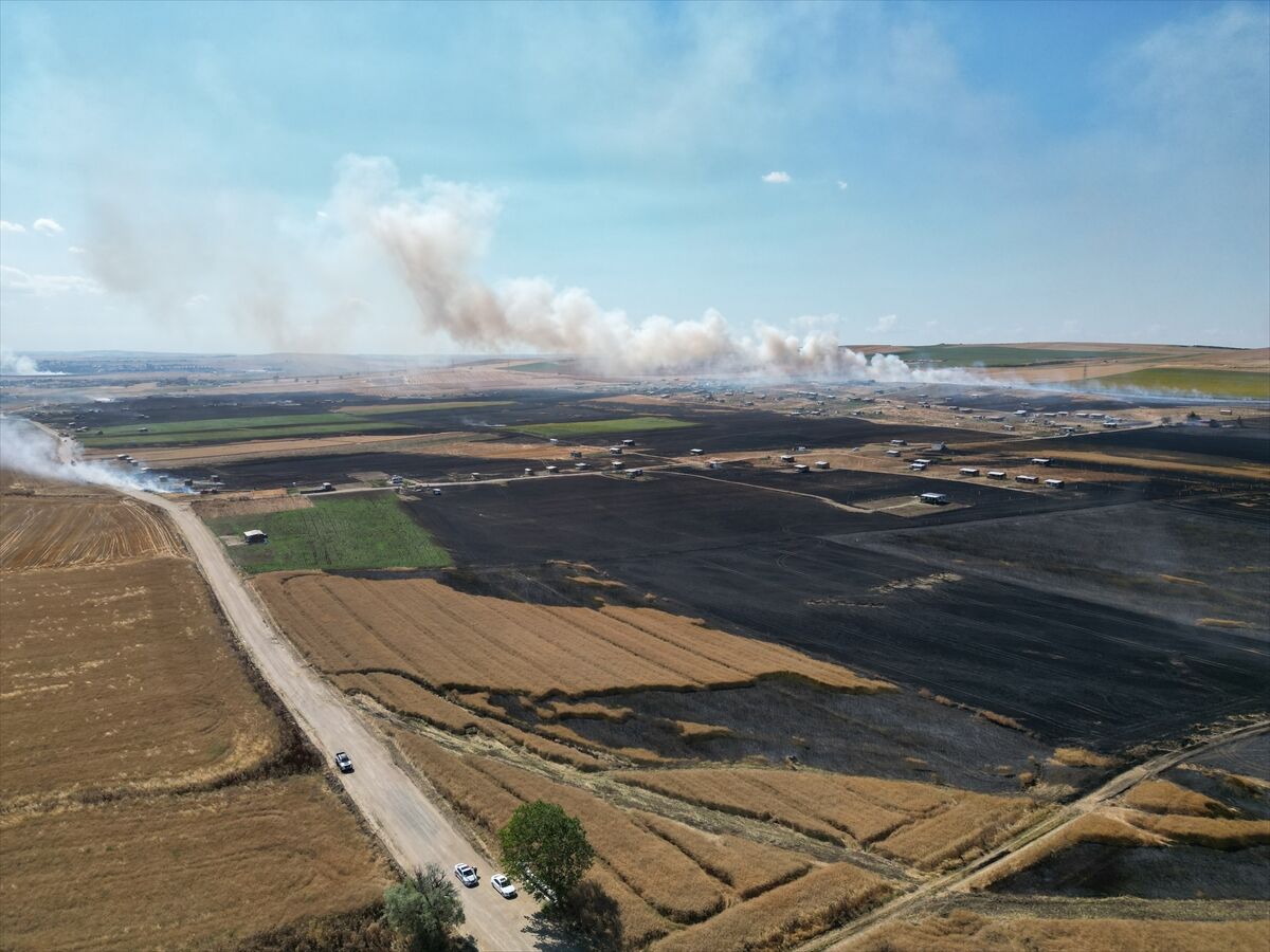Tekirdağ'da Tarlada Çıkan Yangın Söndürüldü