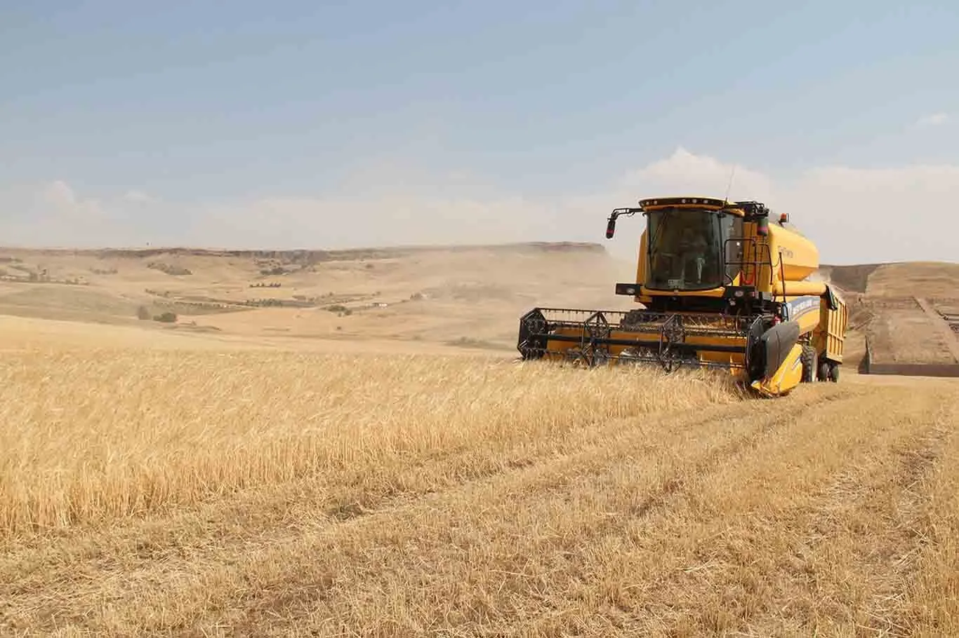 Trakya'da Biçerdöver Mesaisi Bahar Yağmurları Arpa Üreticisinin Yüzünü Güldürdü!W