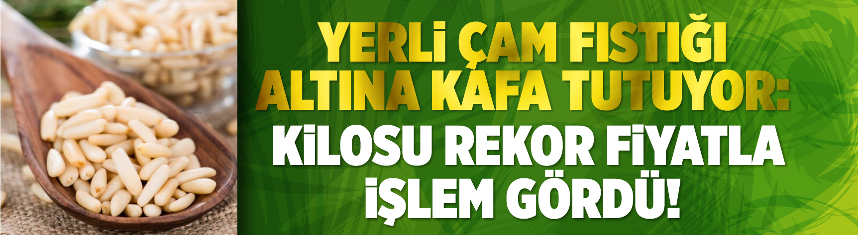 Yerli çam fıstığı altına kafa tutuyor: Kilosu rekor fiyatla işlem gördü!