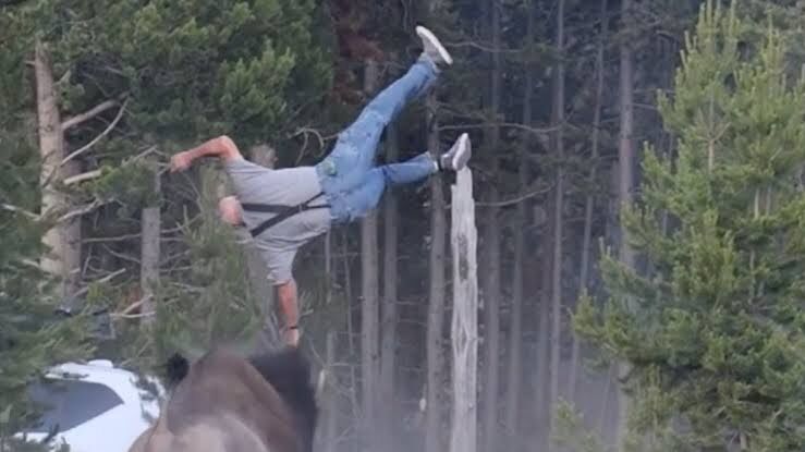 Abd'deki Yellowstone Ulusal Parkı'nda Vahşi Yaşamı Yakından Görmek Isteyen Bir Turist, Saldırganlaşan Boğa Bizonun Hedefi Oldu. Dev Hayvanın Boynuz Darbesiyle Yaklaşık 2,4 Metre Havaya Savrulan Turist Ağır Yaralanırken, Yaşanan-1