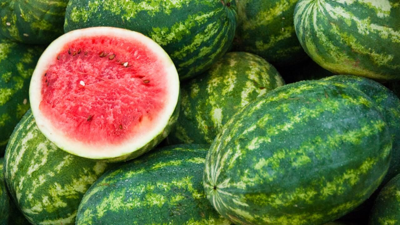 Çiftçinin Alın Teri Tarlada Değer Kaybetti Adana’da Karpuz Hasadında Sona Gelindi