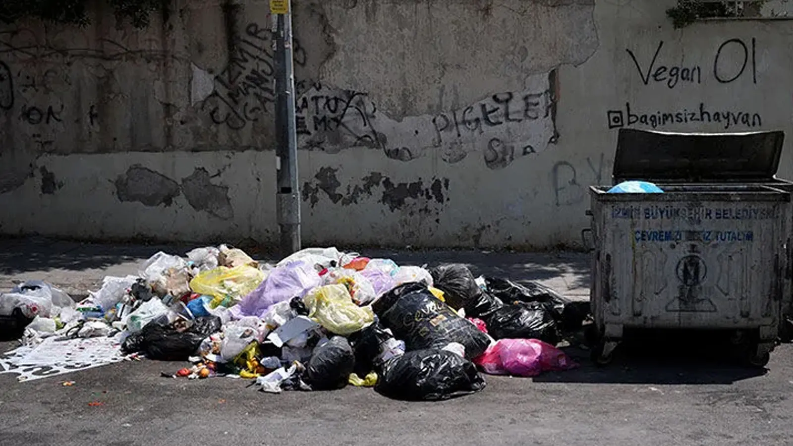 Eşinin çöpe attığı 400 bin lirayı 15 ton atıkta aradı, mahalledeki çöp konteynerinde buldu!