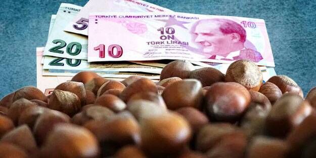 Fındıkta Maliyeti Düşüren Formül Hızı 4 Kat Artırıyor (5)-1