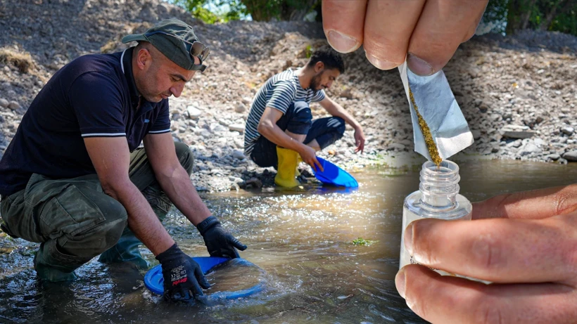 Derelerden altın fışkırıyor: 30 kişilik ekip günde 20 gram buluyor