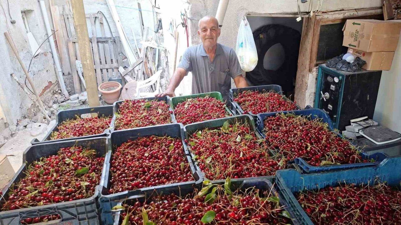 Kütahya'da Vişne Üreticisi Kan Ağlıyor İşçi Yevmiyesi Çıkmıyor, Vişne Dalında Çürüyecek!