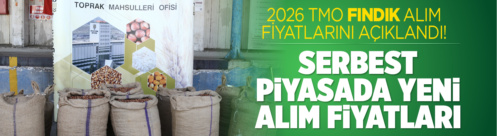 2026 TMO fındık alım fiyatlarını açıklandı! Serbest piyasada yeni alım fiyatları...
