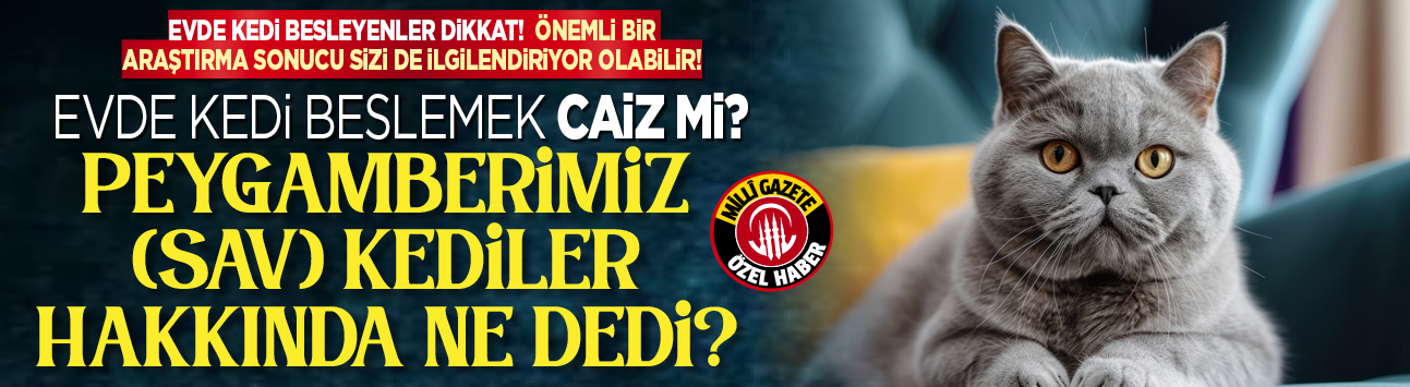 Evde kedi besleyenler dikkat! Önemli bir araştırma sonucu sizi de ilgilendiriyor olabilir! Evde kedi beslemek caiz mi? Peygamberimiz (Sav) kediler hakkında ne dedi?