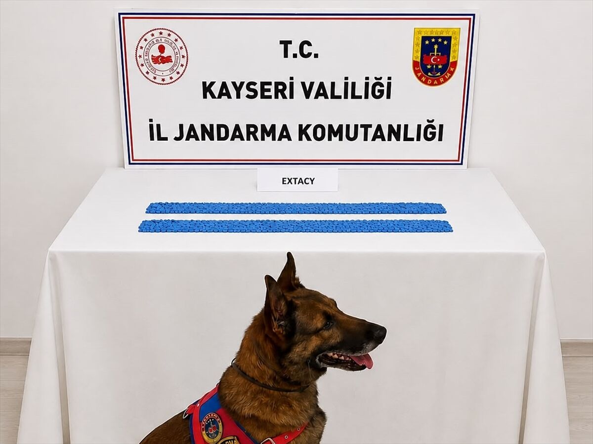 Kayseri'de zehir operasyonu: 2 bin 700 hapla yakalandı