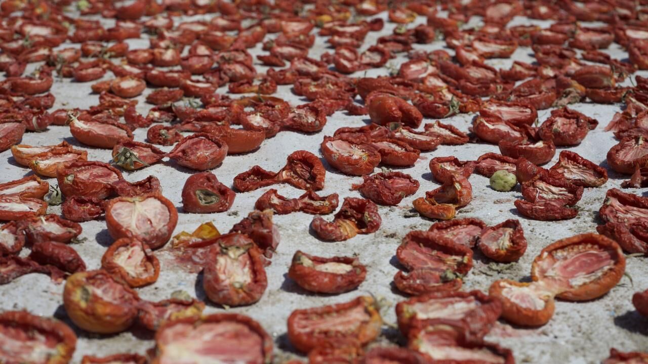 Malatya’dan Avrupa’ya 'Kırmızı Altın' İhracatı Kurutmalık Domateste Hasat Başladı