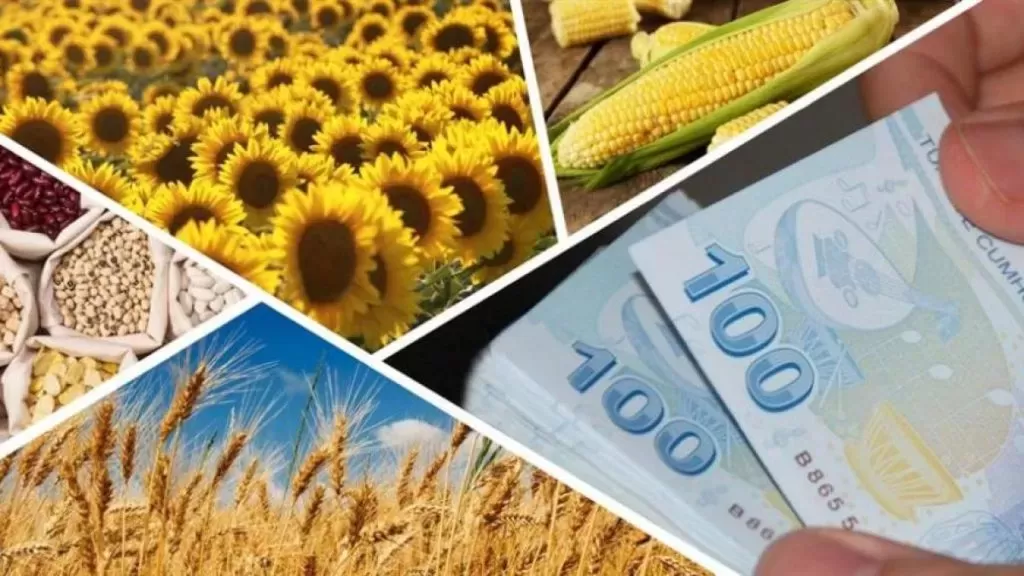 Aydın 2027 Tarım Destekleri Açıklandı 17 Ilçede Havza Ürün Desenleri Netleşti!-1