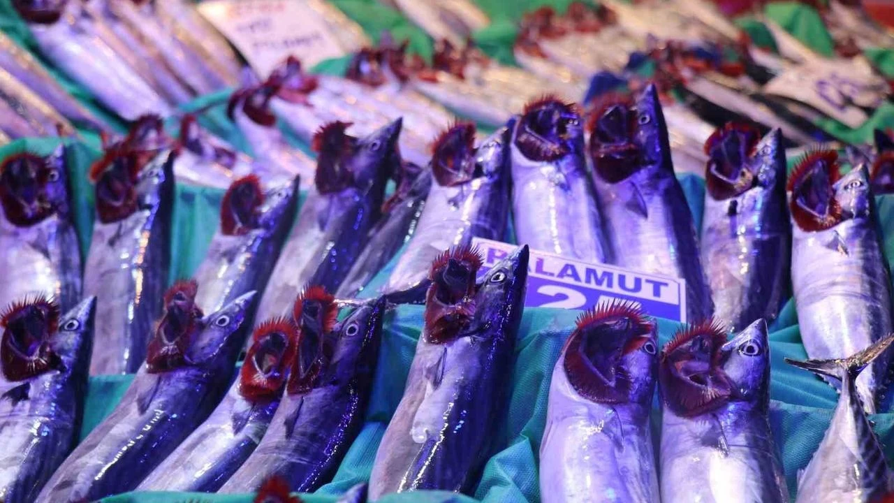 Balık Tezgâhları Şenlendi Palamut 100, Hamsi 250 Liradan Satılıyor!