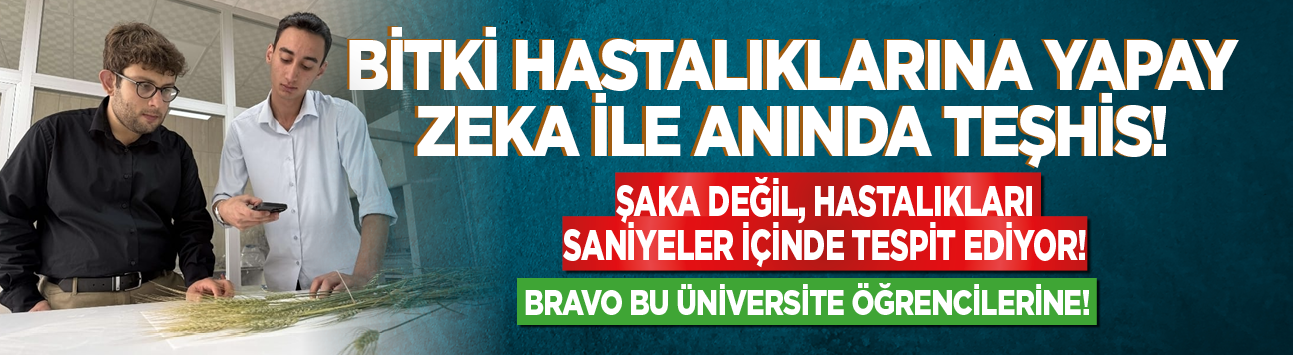 Bitki hastalıklarına yapay zeka ile anında teşhis! Doğruluk oranı yüzde 97,4