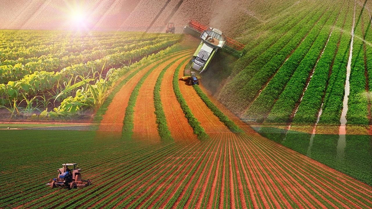 İşlenmeyen Tarım arazileri kiraya veriliyor! İlanlar çıkmaya başladı