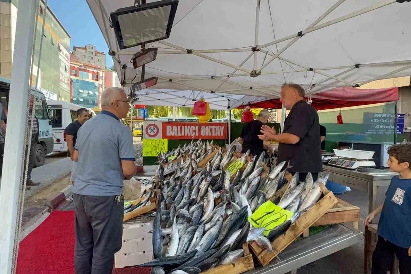 Kırmızı Et Ve Tavuğa Güçlü Rakip Zonguldak’ta Palamut Fiyatları Cebi Yakmıyor!
