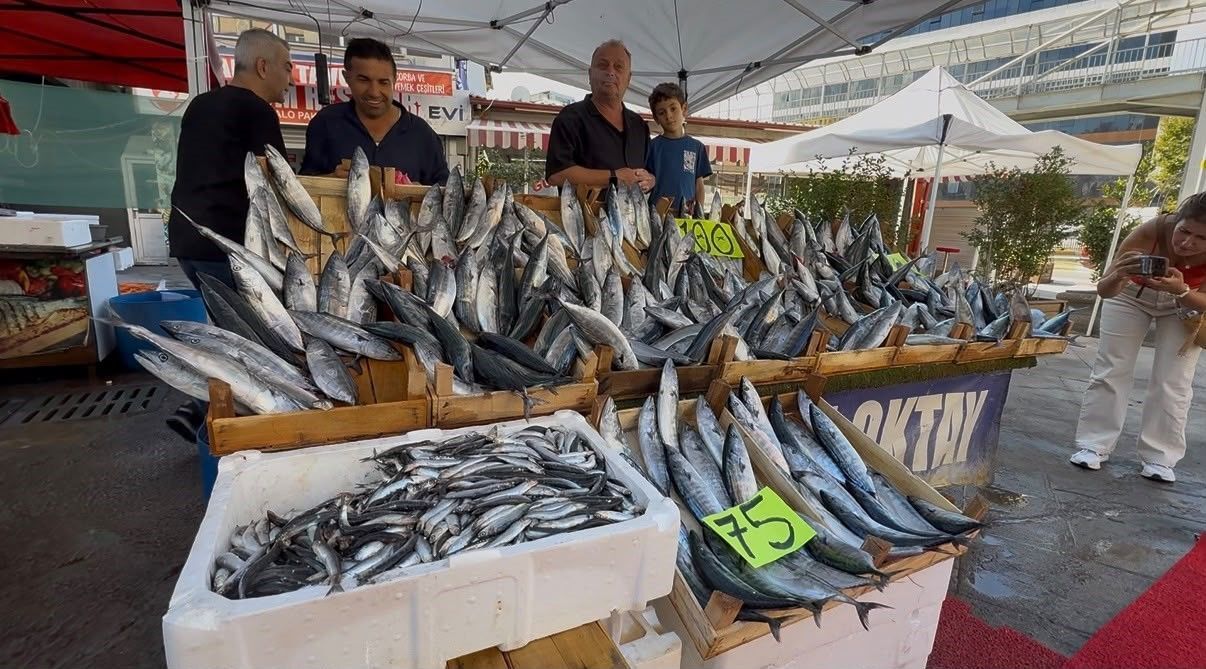 Kırmızı Et Ve Tavuğa Güçlü Rakip Zonguldak’ta Palamut Fiyatları Cebi Yakmıyor!E