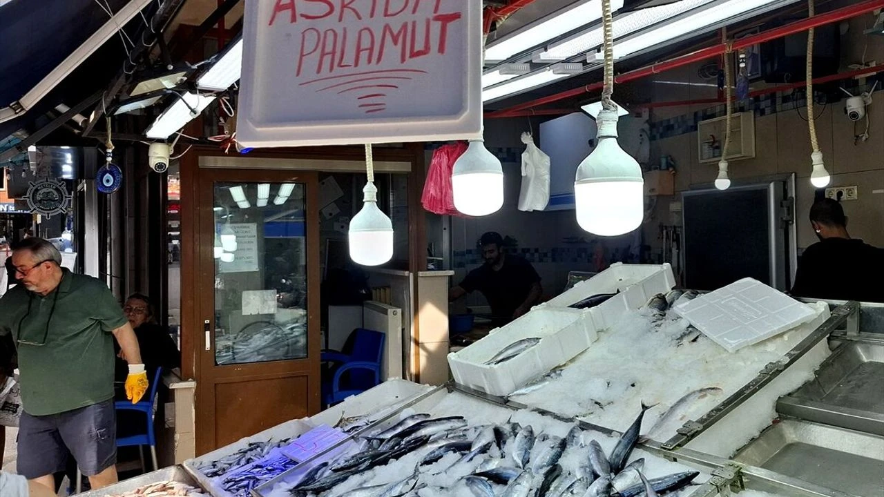 Tezgahlarda Yeni Dönem Askıda Palamut Uygulaması Başladı (3)