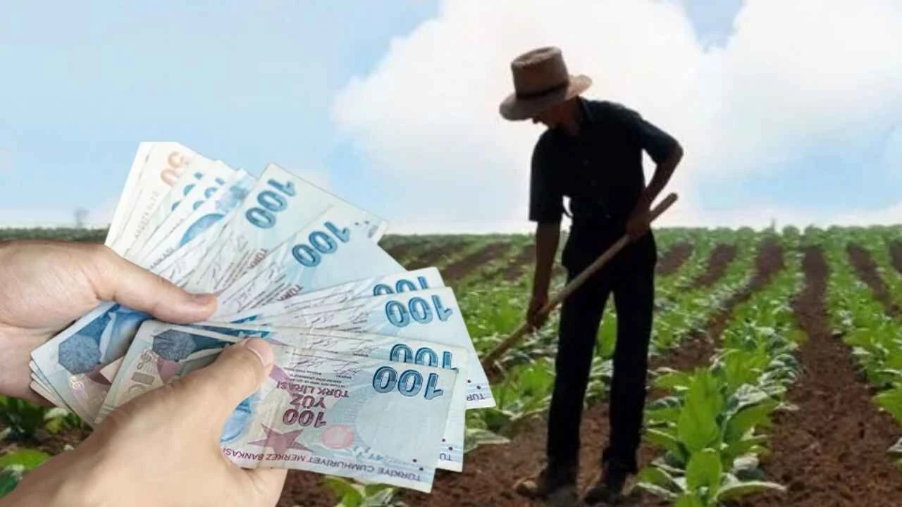 Üç Ilde Alın Terinin Karşılığı Belli Oldu 2026 Tarım Işçisi Yevmiyeleri Açıklandı! İşte Net Rakam...qq