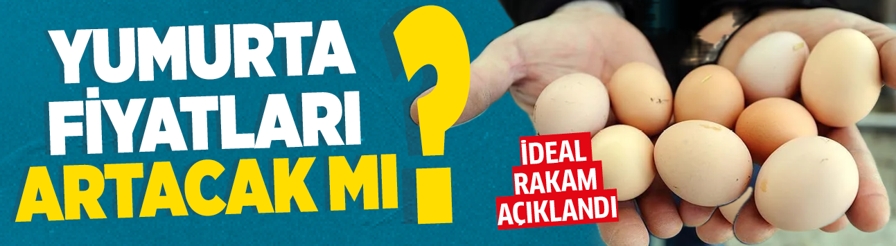 Yumurta fiyatları artacak mı? İdeal rakam açıklandı