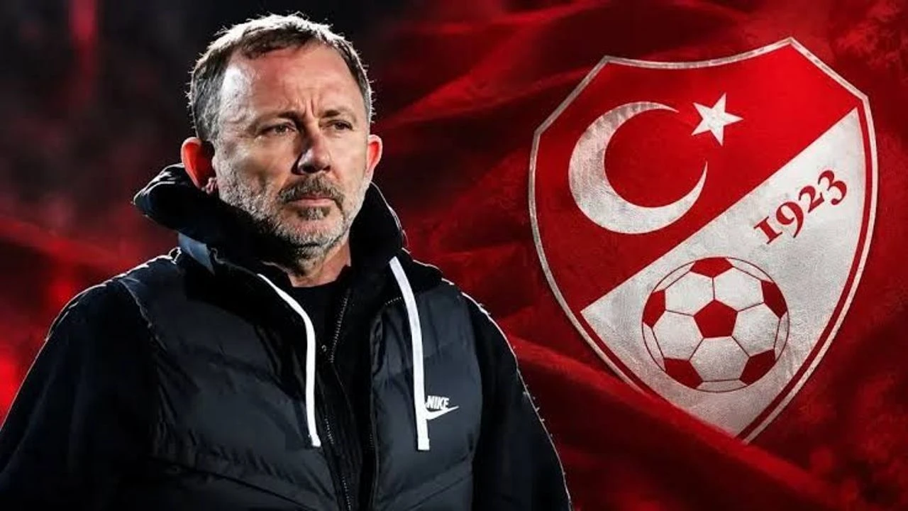 A Milli Takim Icin Sergen Yalcin Iddiasi