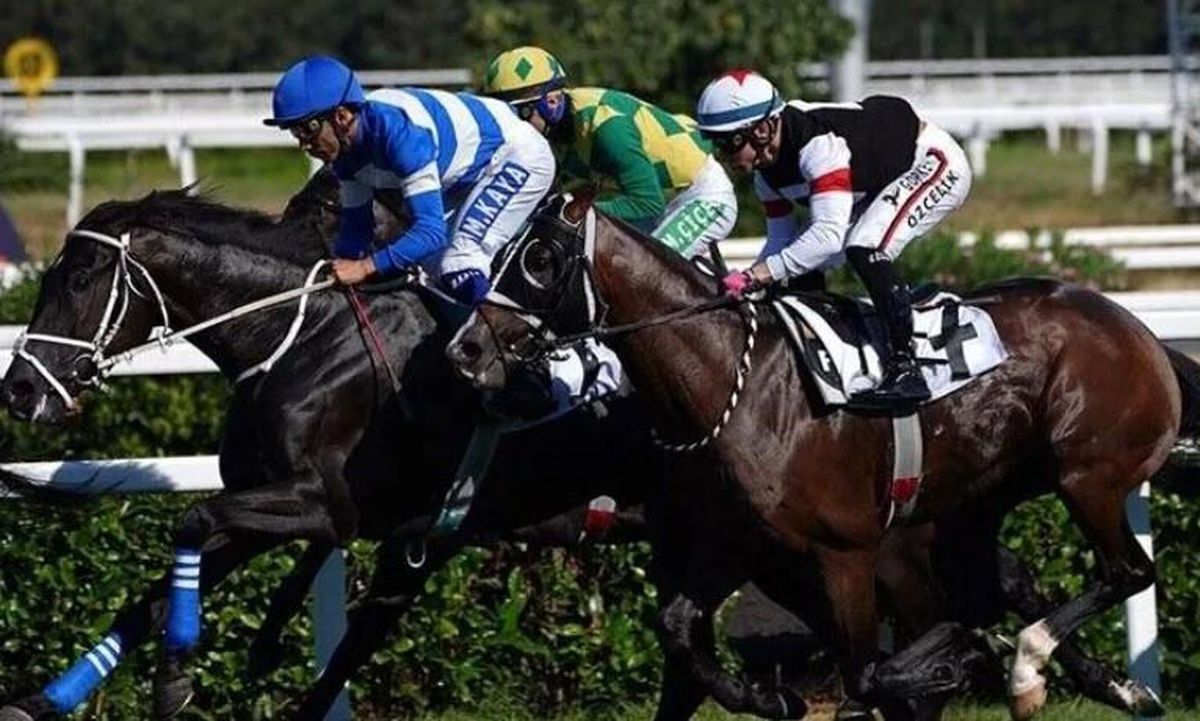 19 Ekim Bursa at yarışları ne oldu? Yarışlar iptal mi? 25 Ekim'de mi yapılacak? İlk koşu saat kaçta?