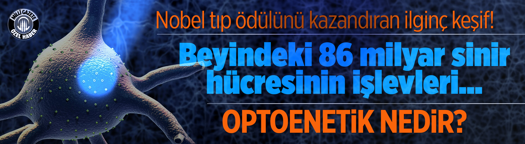 Nobel Tıp Ödülü'nü kazandıran ilginç keşif! Beyindeki 86 milyar sinir hücresinin işlevleri