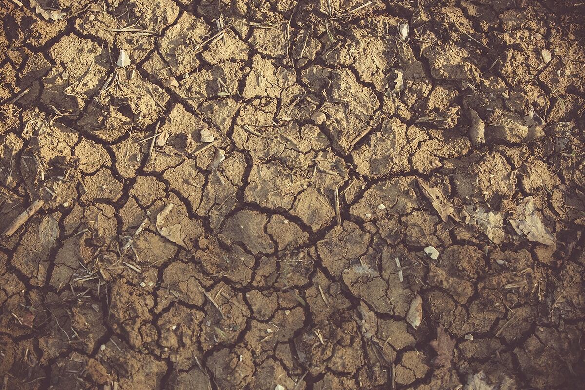 Pasifik kaynıyor: Tarihin en sert El Niño'su 347 milyon çocuğu açlık ve selin ortasında bırakacak