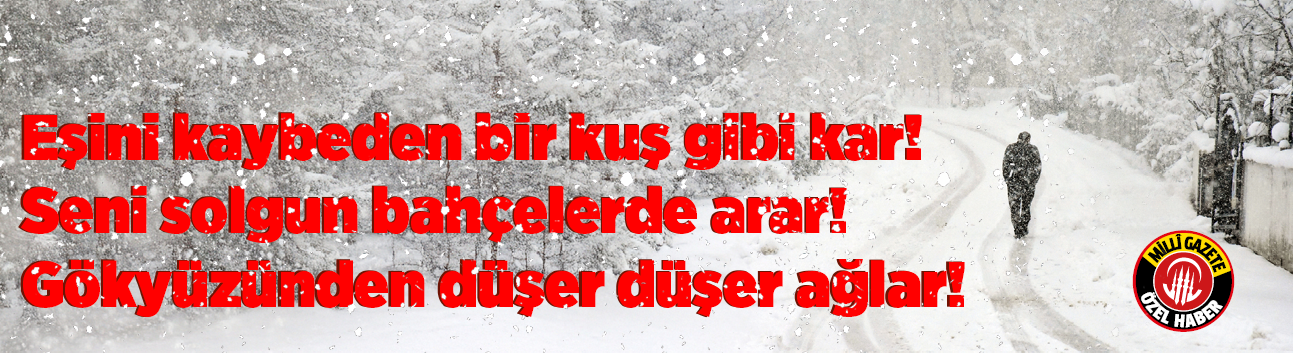 Eşini kaybeden bir kuş gibi kar! Seni solgun bahçelerde arar! Gökyüzünden düşer düşer ağlar!