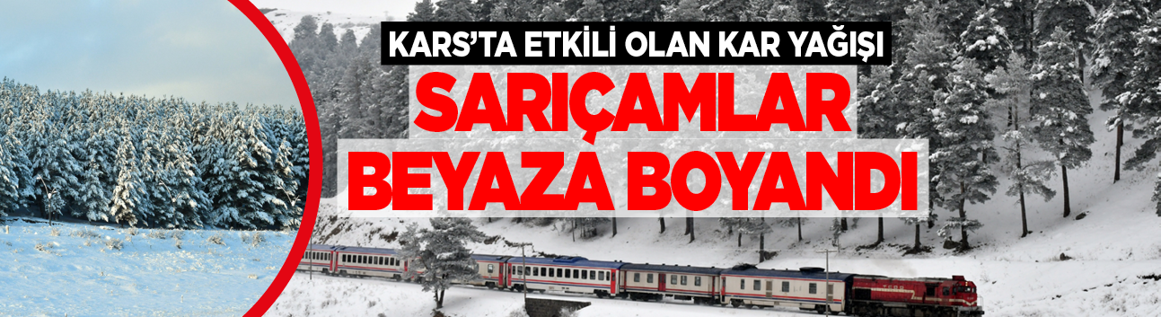 Sarıkamış’ta kartpostallık manzara: Sarıçamlar beyaza büründü